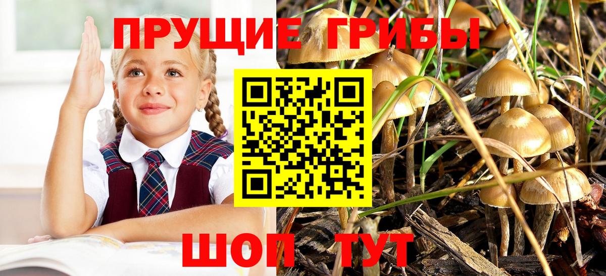 Псилоцибиновые грибы ЛСД  Псилоцибиновые грибы ЛСД  Вход с VPN  Троицк 